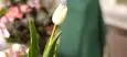 Thumbnail 16