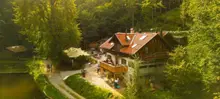 Foto von Waldschlucht