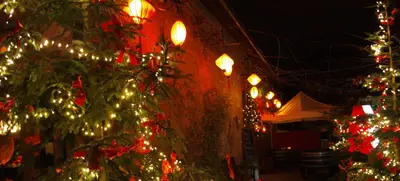 Foto von Weingut Majer