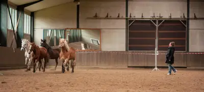 Foto von EQUI Connexion