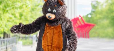Foto von Berliner Bär Erlebnis Tour