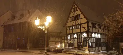 Foto von Mausefalle