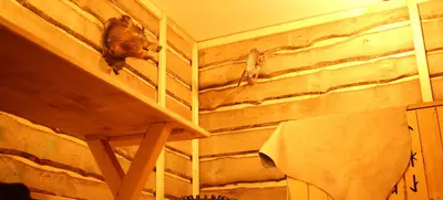 Foto von Thout - Escape Room