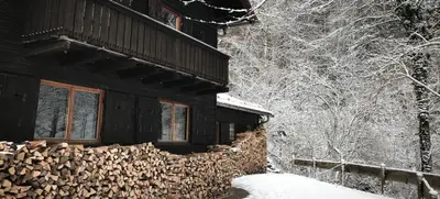 Foto von Weihnachtsfeier im Wald