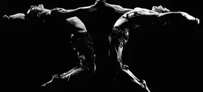Foto von WITTROBIN Show Creations