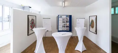 Foto von Brasilea Stiftung