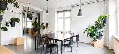 Foto von Liane - Liane 2