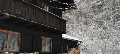 Foto von Weihnachtsgrillkurs im Wald