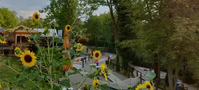 Foto von Sportparadies Halle