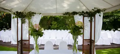 Foto von Hochzeit unter alten Bäumen