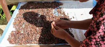Foto von Pralinen- und Schokoladentasting - virtuell
