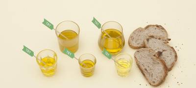 Foto von Online Olivenöl-Tasting