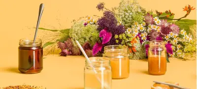 Foto von Online Honig-Tasting