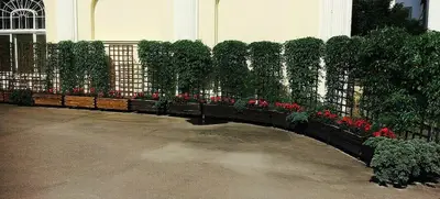 Foto von Parkhotel Dresden