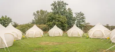 Foto von Secret Forest – Der grüne Flugplatz