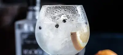 Foto von Käse und Gin Tasting