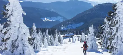 Foto von Schneeschuhwanderung