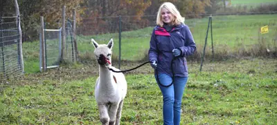 Foto von Parvati Alpakas