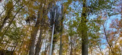 Foto von Lila Disc Golf Parcours