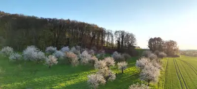 Foto von LILA DISC GOLF