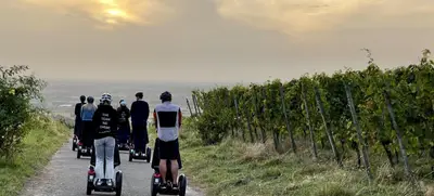 Foto von SEGWAY "Tour de Reben" ...nur in/bei Baden-Baden