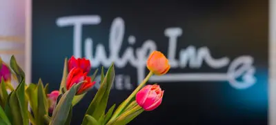 Foto von Tulip Inn Ludwigshafen City
