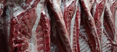 Foto von Fleischerei Ringl - Zerlegekurs