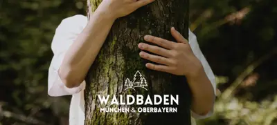 Foto von Waldbaden München - deine Auszeit im Wald