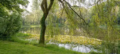 Foto von Zeitreise Hotel & Eventlocation