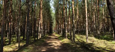 Foto von Herbst-Special