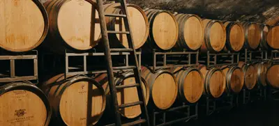 Foto von Kulinarische Weinprobe