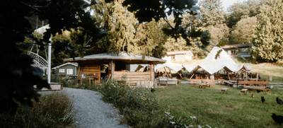 Foto von Waldquartier