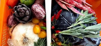 Foto von PlantAmour Foodlab