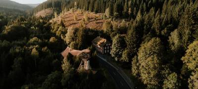 Foto von Mountainbike-Teamevent im Harz   – Gemeinsam auf Tour