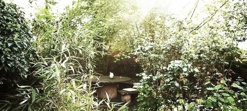 Foto 11 von Loft 60/325