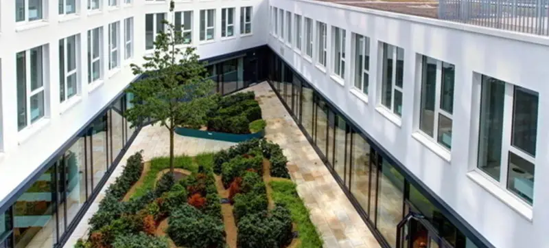 Foto von Frankfurt School