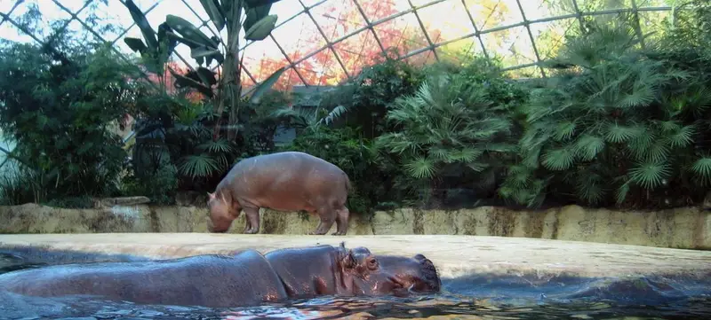 Foto von Zoologischer Garten Berlin