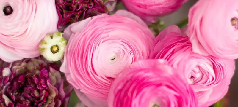 Foto 6 von BLOOMY DAYS