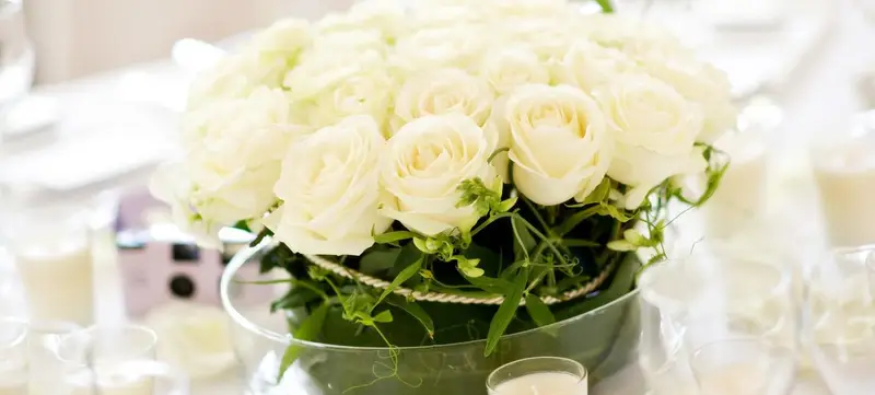 Foto 7 von Hochzeit unter alten Bäumen