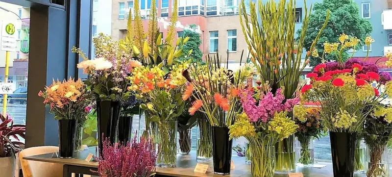 Foto 1 von Kians Garden