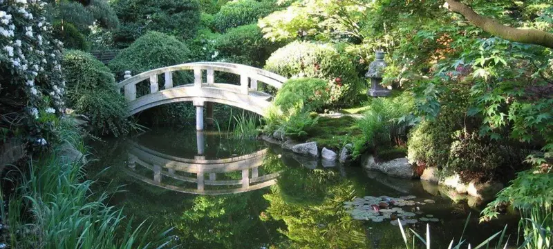 Foto 3 von Japans Garden Design