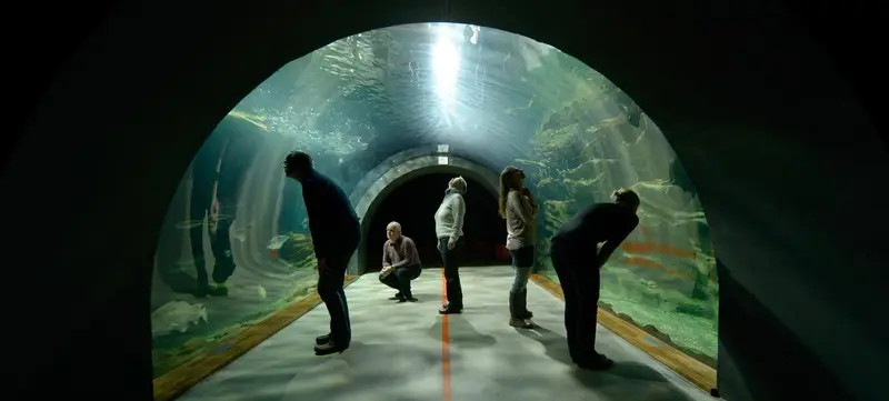 Foto 1 von Ozeaneum - Nordsee
