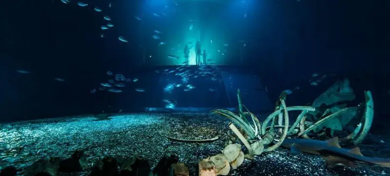 Foto 2 von Ozeaneum - Nordsee