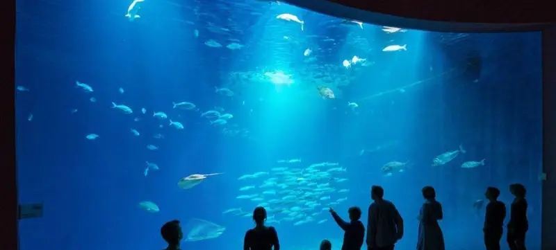 Foto 3 von Ozeaneum - Nordsee