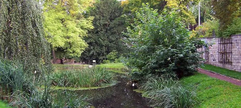 Foto 7 von Schloss Burgk Freital