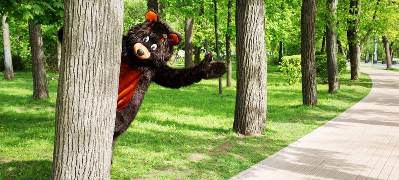 Foto 2 von Berliner Bär Erlebnis Tour