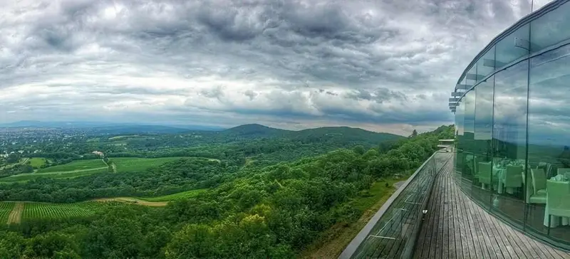Foto 8 von Kahlenberg