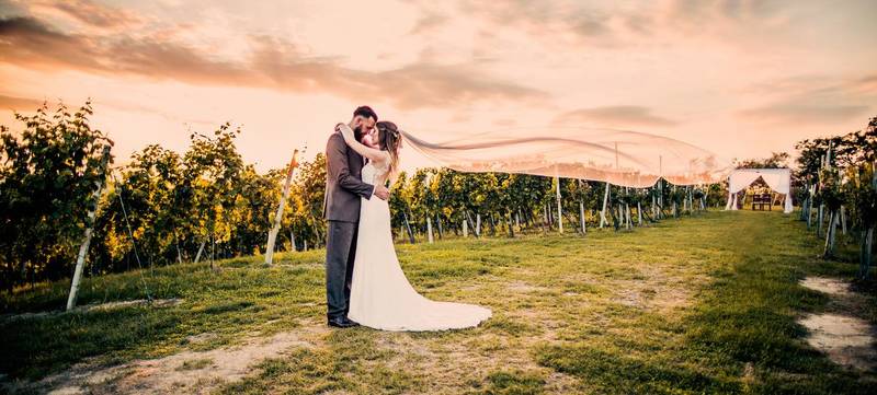 Foto 13 von Weingut Holler