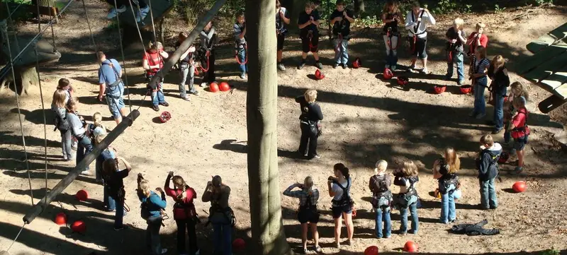 Foto 2 von Teammotion