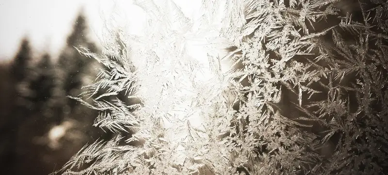Foto 1 von Weihnachtsfeier im Wald